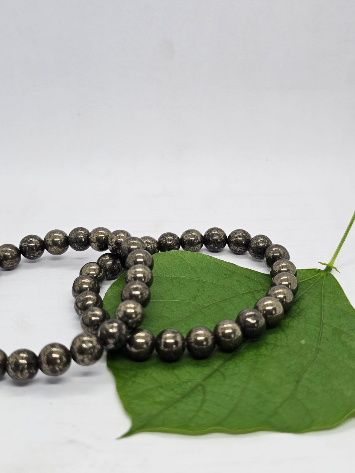 HomePage img 20251006 wa0017