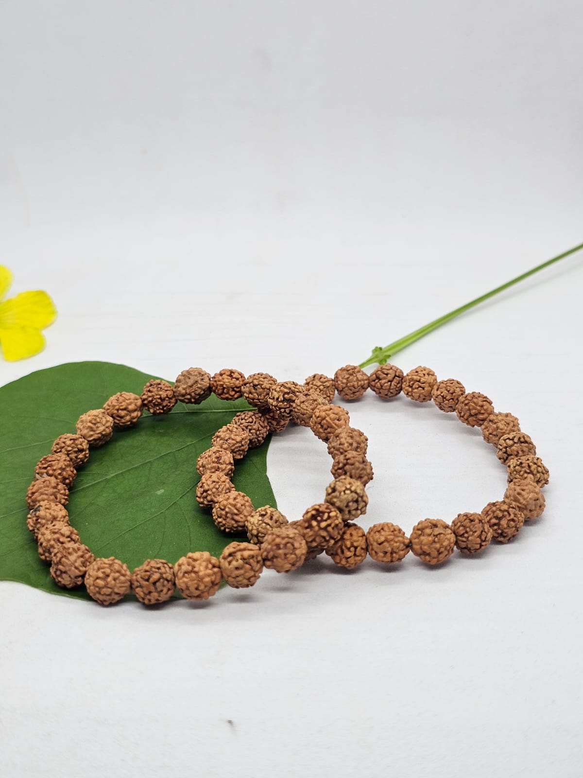 HomePage img 20251006 wa0045