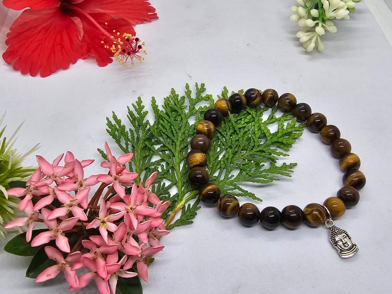 img 20251006 wa0087 img 20251006 wa0087